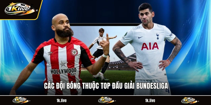 Các đội bóng thuộc top đầu giải Bundesliga