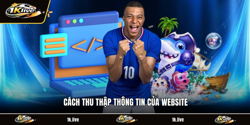 Cách thu thập thông tin của website