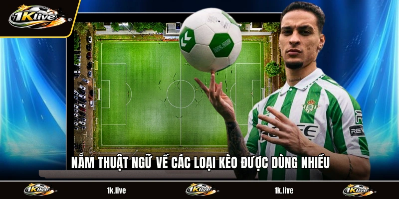 Nắm thuật ngữ về các loại kèo được dùng nhiều